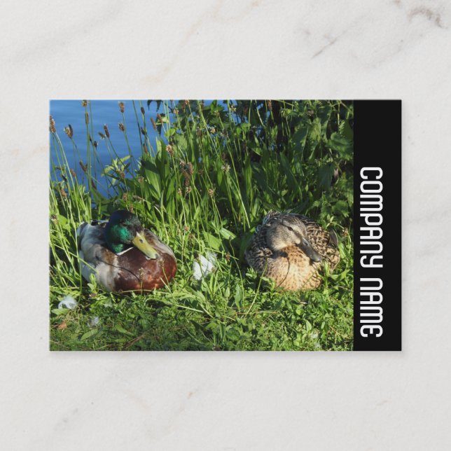 Side Band - Mr and Mrs Mallard Business Card (Front)