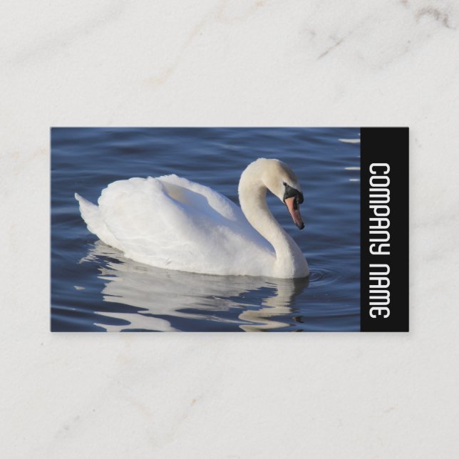 Side Band -  Mute Swan Business Card (Front)