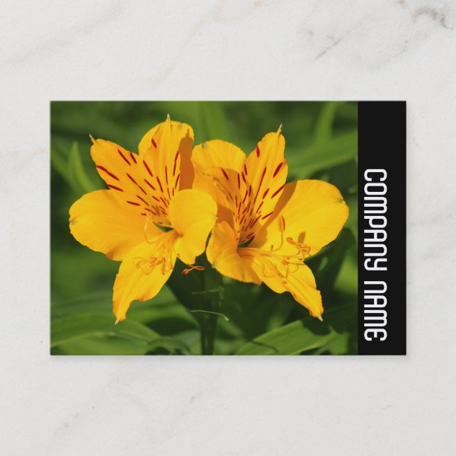 Side Band - Peruvian Lilies Business Card (Front)