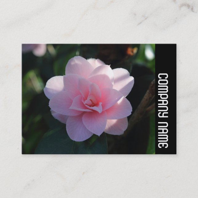 Side Band - Pink Camellia Business Card (Front)