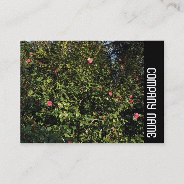 Side Band - Red Camellia Bush Business Card (Front)