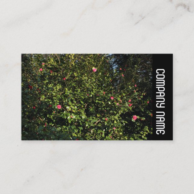 Side Band -  Red Camellia Bush Business Card (Front)