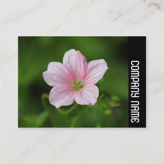 Side Band - Seaside Business Card (Front)