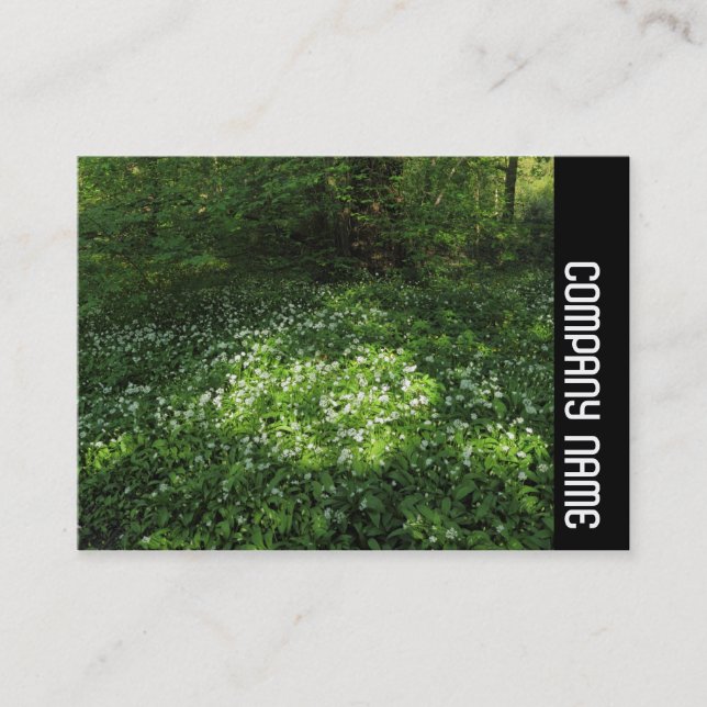 Side Band - Spot of Garlic Business Card (Front)