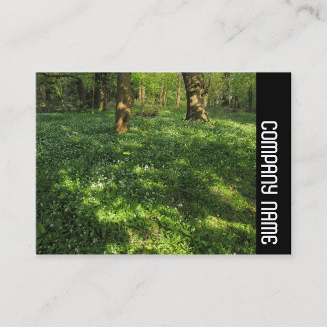 Side Band - Spring in the Woods Business Card (Front)