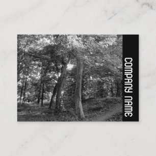 Side Band - Summer in the Woods Business Card