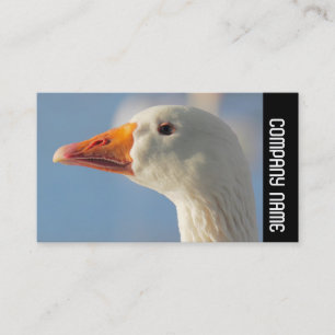 Side Band -  White Goose Business Card