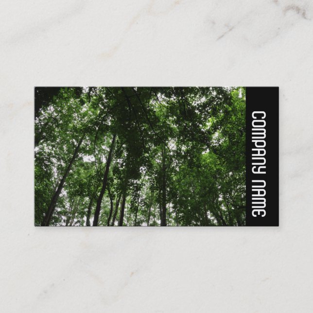 Side Band -  Woodland Canopy 01 Business Card (Front)