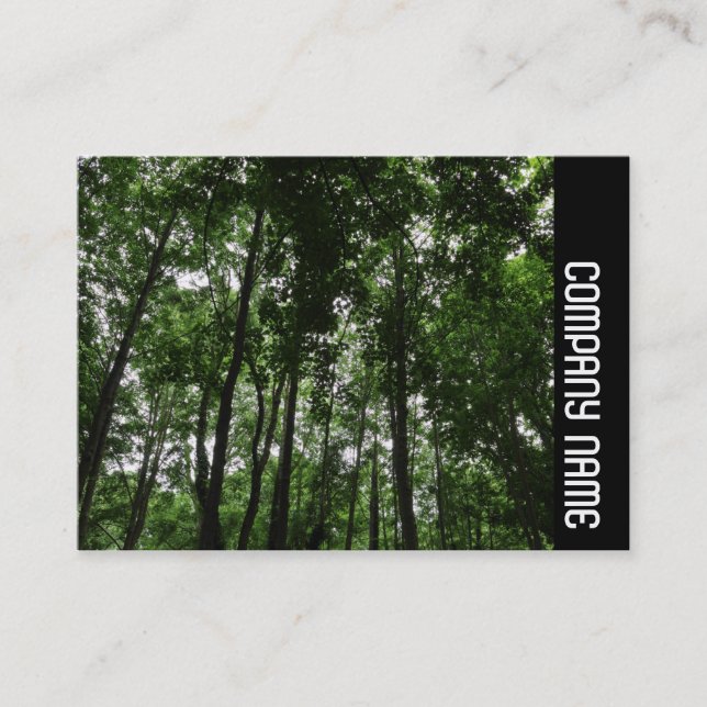 Side Band - Woodland Canopy 02 Business Card (Front)