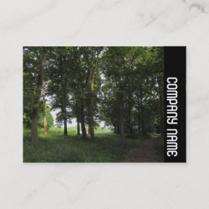 Side Band - Woods, Bute Park Cardiff Business Card