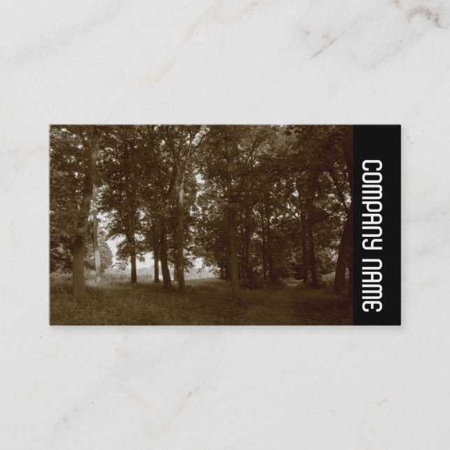 Side Band -  Woods, Bute Park Cardiff Business Card (Front)
