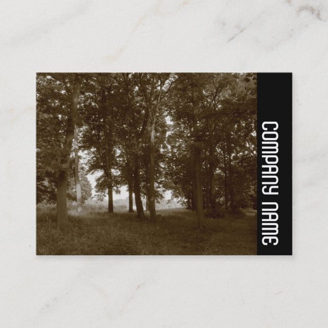 Side Band - Woods, Bute Park Cardiff - Sepia toned Business Card (Front)