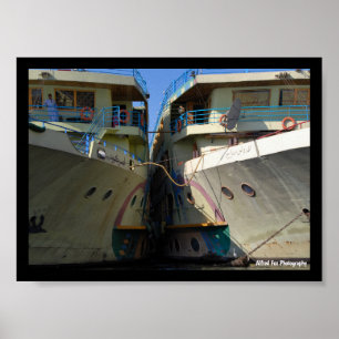 Side by Side on the Nile Poster