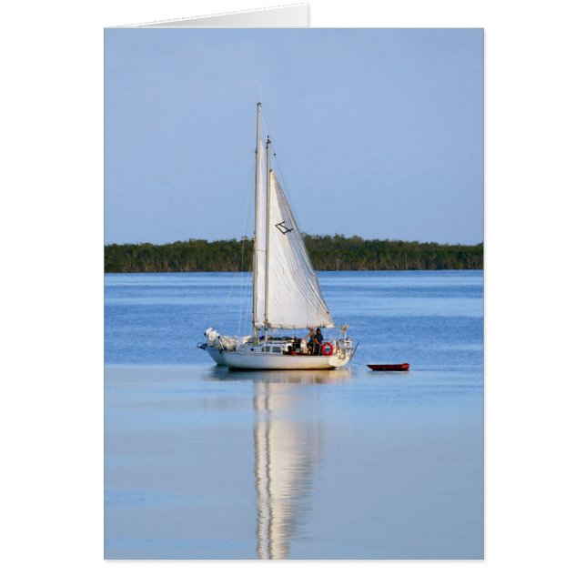 Side by Side Sailboats (Front)