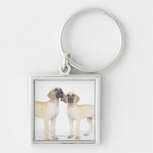 side by side,small group of animals,togetherness keychain