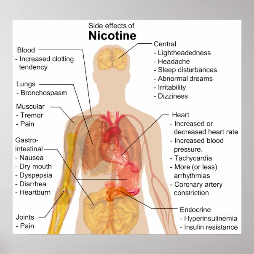 Side Effects of Nicotine on the Human Body Chart Poster | Zazzle