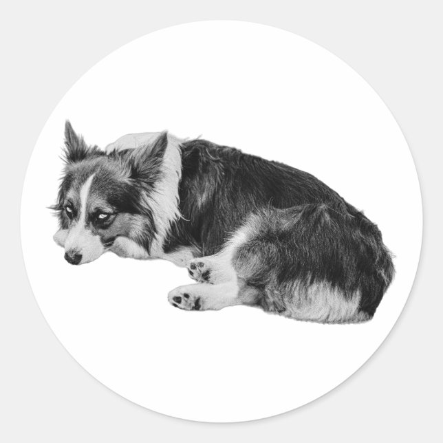Side-Eye Corgi Fun Classic Round Sticker (Front)
