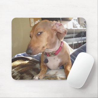 Side Eye Dog Meme Mouse Pad