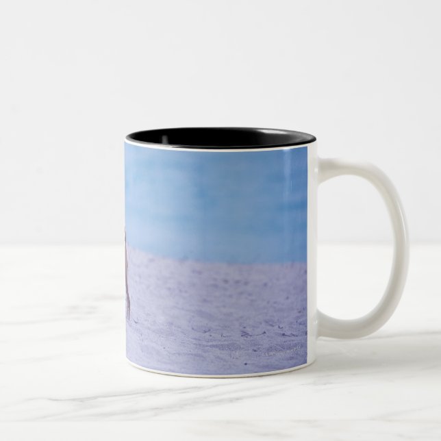 Side profile of a dog standing on the beach, Two-Tone coffee mug (Right)
