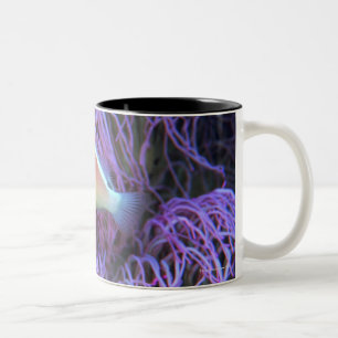 Side view of a pink anemone fish, Okinawa, Japan Two-Tone Coffee Mug