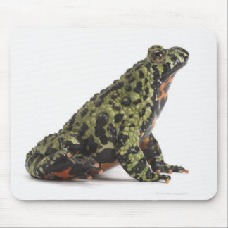 Side View of an Oriental Fire Bellied Toad Mouse Pad