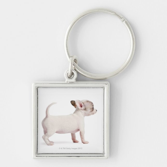 Side view of Chihuahua Puppy (10 weeks old) Keychain (Front)