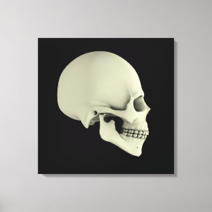 Side View Of Human Skull Canvas Print