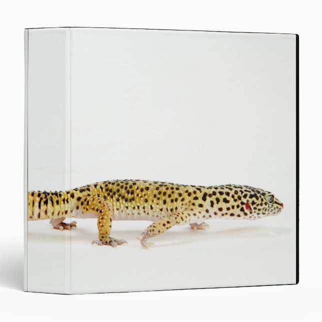 Side view of leopard gecko lizard binder (Front/Spine)