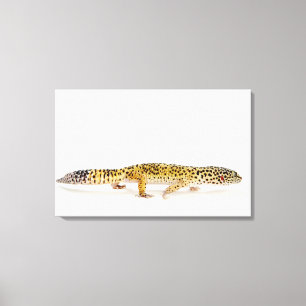 Side view of leopard gecko lizard canvas print