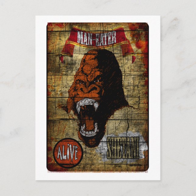 Sideshow Banner with Man Eating Gorilla Postcard (Front)
