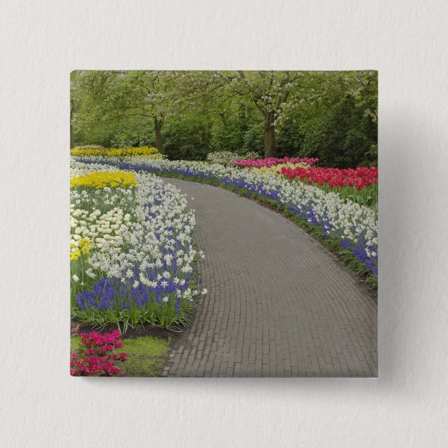Sidewalk pathway through tulips and daffodils, 2 inch square button (Front)