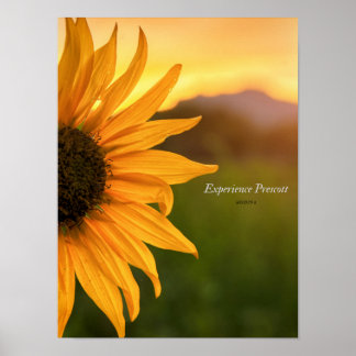 Sideways Glance-Experience Prescott Poster