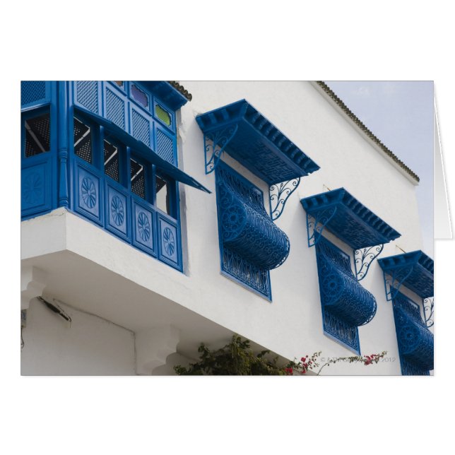 Sidi Bou Said, Tunisia (Front Horizontal)