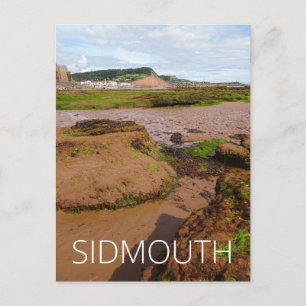 Sidmouth Postcard