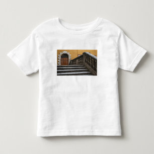 Sienna, Tuscany, Italy - Low angle view of Toddler T-shirt