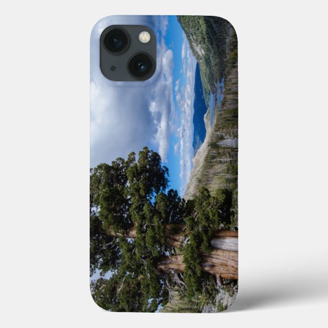 Sierra Juniper and Evergreen Trees 2 Case-Mate iPhone Case (Back)