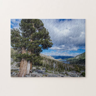 Sierra Juniper and Evergreen Trees 2 Jigsaw Puzzle