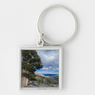 Sierra Juniper and Evergreen Trees 2 Keychain