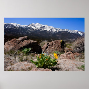 Sierra Mountain View Poster