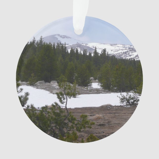 Sierra Nevada Montagnes et neige à Yosemite (devant)