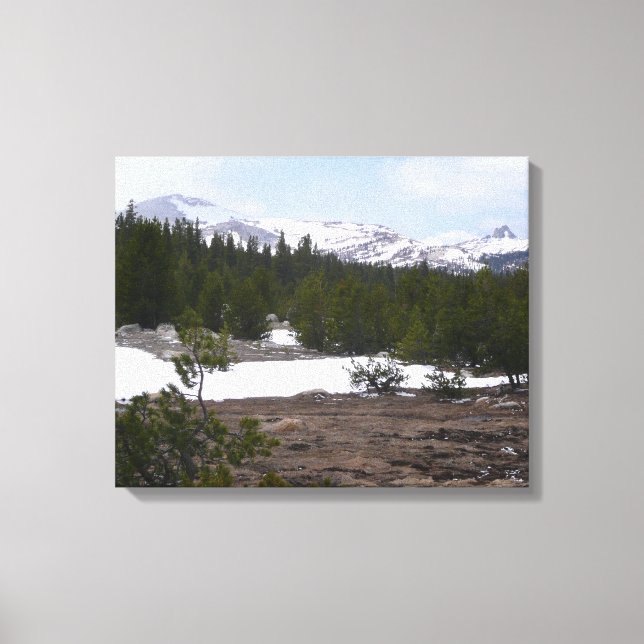 Sierra Nevada Mountains and Snow at Yosemite Canvas Print (Front)