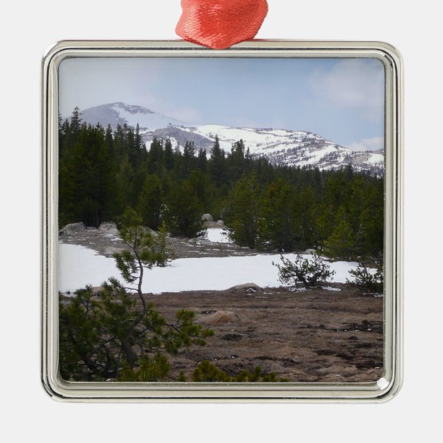 Sierra Nevada Mountains and Snow at Yosemite Metal Ornament (Front)
