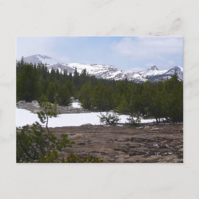 Sierra Nevada Mountains and Snow at Yosemite Postcard (Front)