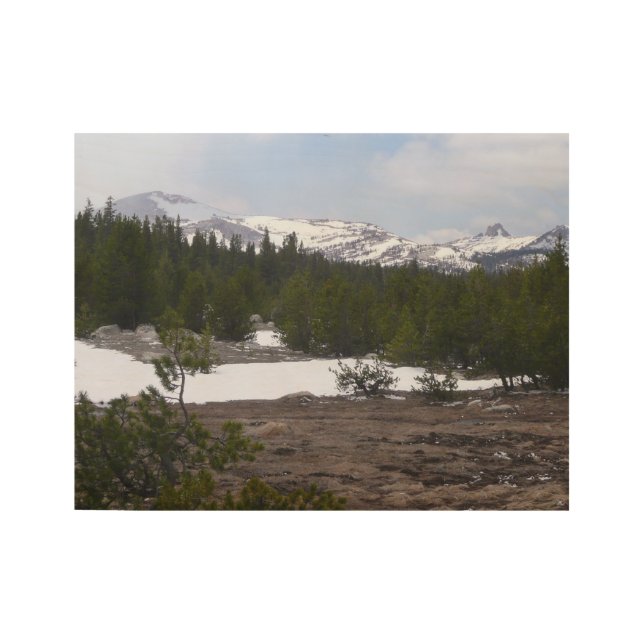 Sierra Nevada Mountains and Snow at Yosemite Wood Poster (Front)