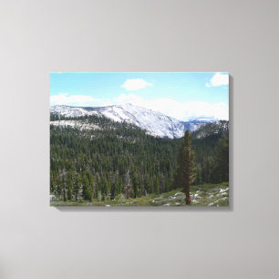 Sierra Nevada Mountains II from Yosemite Canvas Print