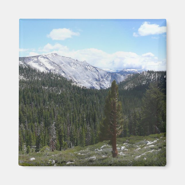 Sierra Nevada Mountains II from Yosemite Magnet (Front)