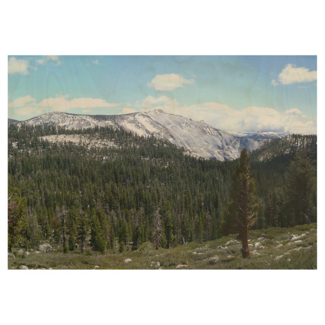 Sierra Nevada Mountains II from Yosemite Wood Poster (Front)