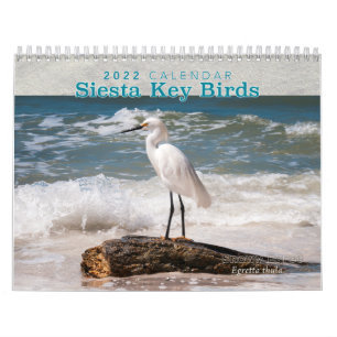 Siesta Key Birds - 2022 Calendar