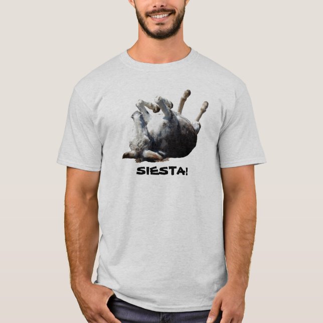 Siesta T-Shirt (Front)