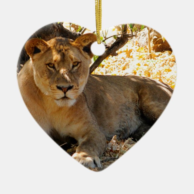 Siesta Time Ceramic Ornament (Front)